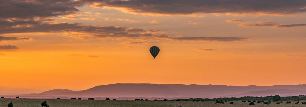 Balloon rides Parys https://pixabay.com/users/antonytrivet-3549802/